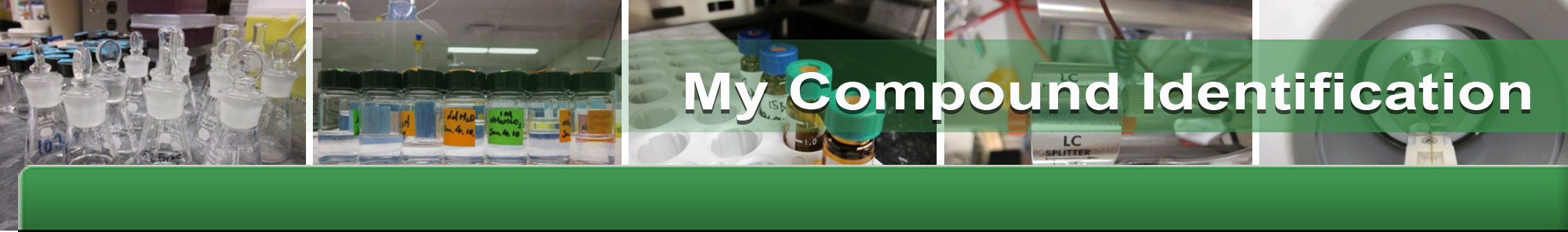 My Compound IDentification